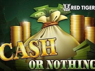 Cash Or Nothing game icon